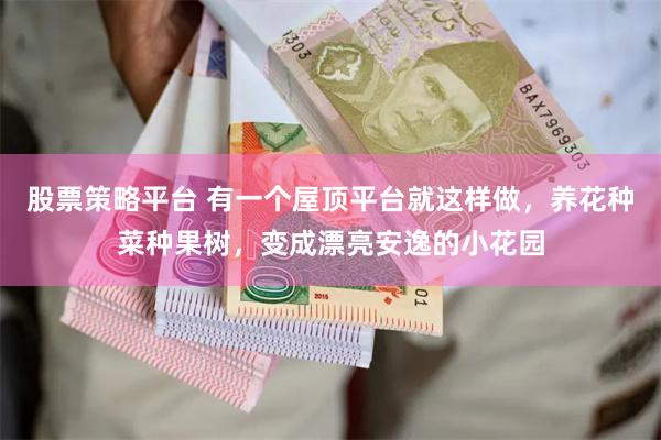股票策略平台 有一个屋顶平台就这样做，养花种菜种果树，变成漂亮安逸的小花园