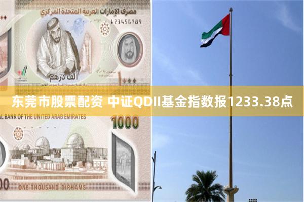 东莞市股票配资 中证QDII基金指数报1233.38点