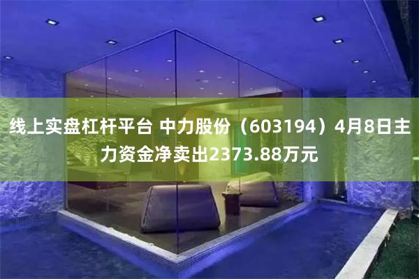 线上实盘杠杆平台 中力股份（603194）4月8日主力资金净卖出2373.88万元