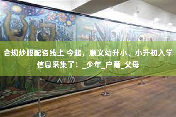 合规炒股配资线上 今起，顺义幼升小、小升初入学信息采集了！_少年_户籍_父母