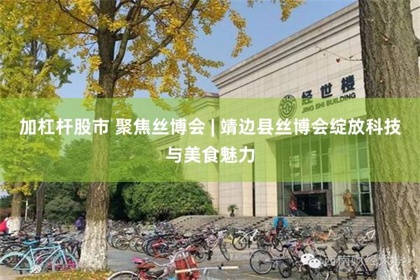加杠杆股市 聚焦丝博会 | 靖边县丝博会绽放科技与美食魅力