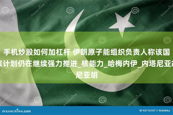 手机炒股如何加杠杆 伊朗原子能组织负责人称该国核计划仍在继续强力推进_核能力_哈梅内伊_内塔尼亚胡