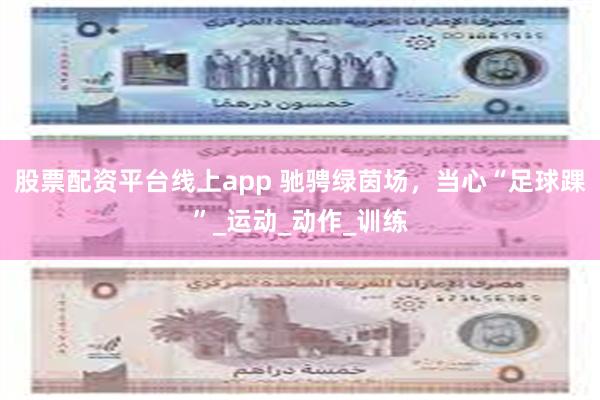股票配资平台线上app 驰骋绿茵场，当心“足球踝”_运动_动作_训练