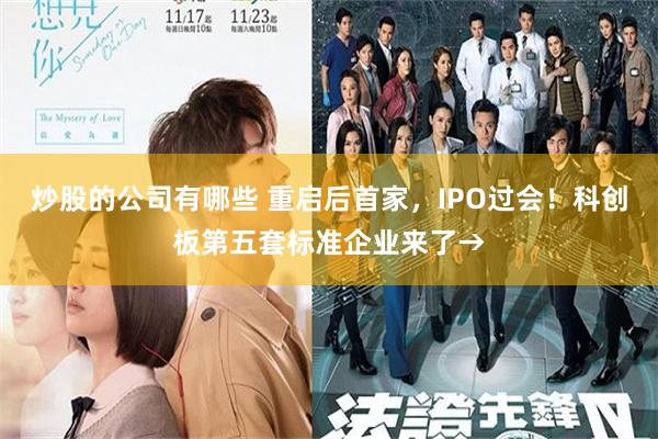 炒股的公司有哪些 重启后首家，IPO过会！科创板第五套标准企业来了→