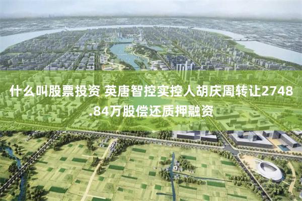 什么叫股票投资 英唐智控实控人胡庆周转让2748.84万股偿还质押融资