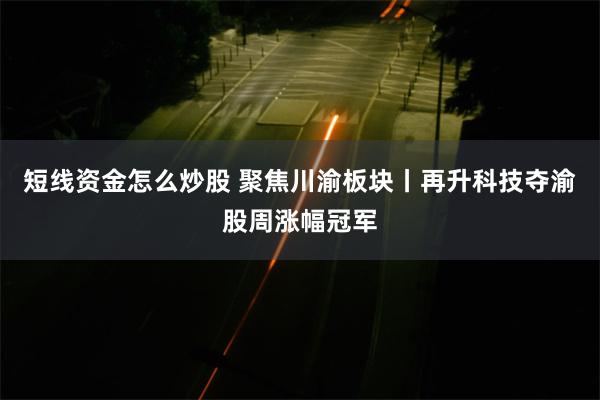 短线资金怎么炒股 聚焦川渝板块丨再升科技夺渝股周涨幅冠军